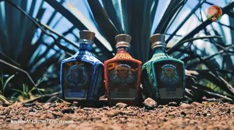 procesos tequila tau